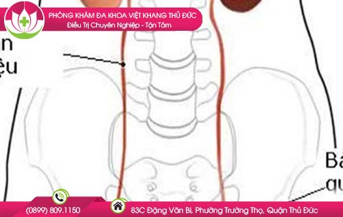 dia-chi-kham-va-chua-benh-viem-duong-tiet-nieu-o-nu-gioi-tai-tphcm