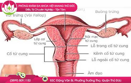 do-day-niem-mac-tu-cung-day-bao-nhieu-thi-co-thai-va-khong-co-thai1