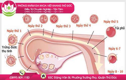 thai-chua-vao-tu-cung-nhung-bi-ra-mau-co-sao-khong