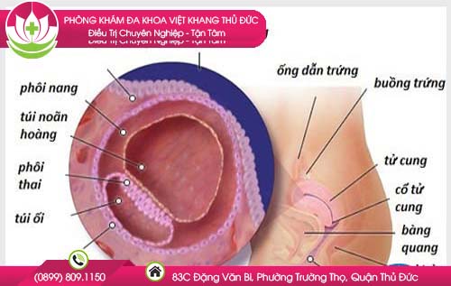 tre-kinh-8-ngay