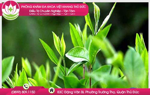 ve-sinh-vung-kin-bang-la-trau-khong-va-tra-xanh-co-thuc-su-hieu-qua